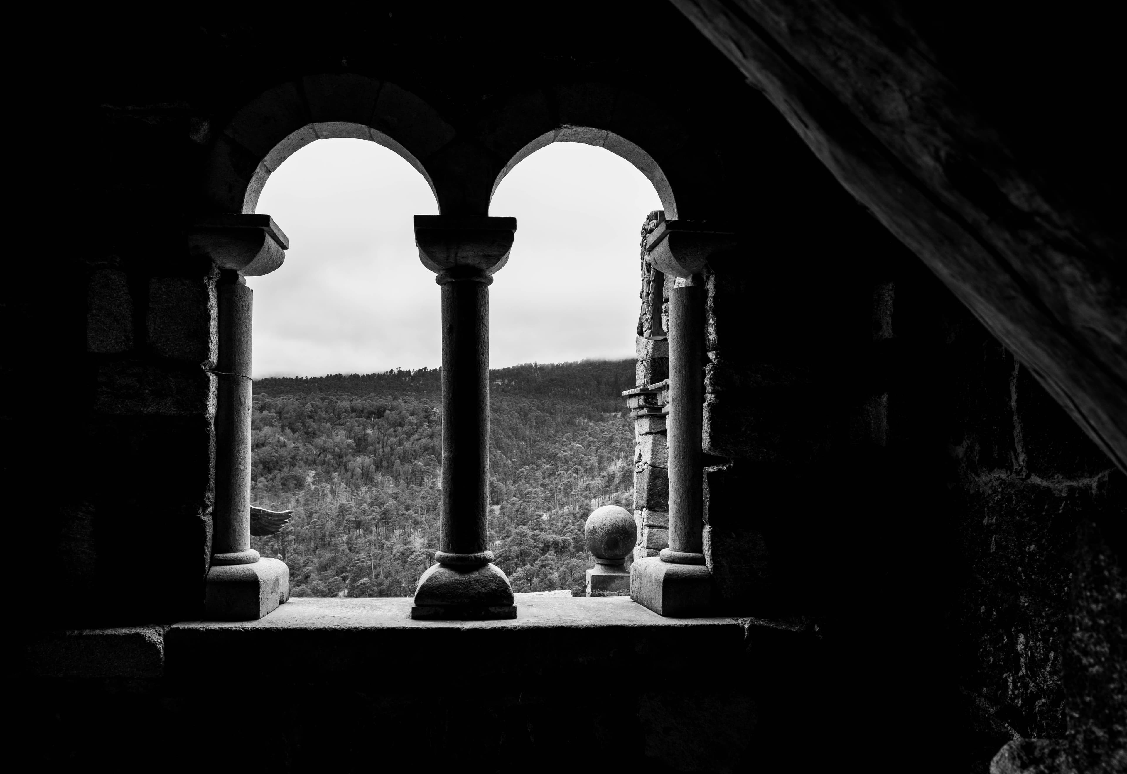 El bosque enmarcado por los arcos de piedra de la casa