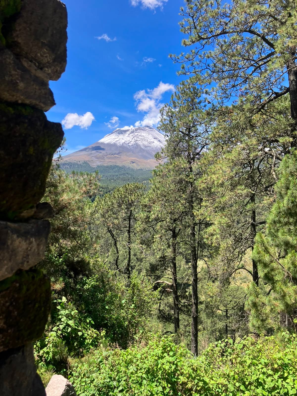 Vista del volcán nevado entre la roca y los pinos de la propiedad